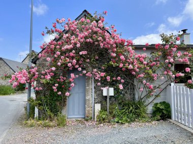 Brittany 'deki geleneksel taş ev çiçeklerle süslenmiş. Tipik güzel bir köy. Büyüleyici sahne klasik Fransız kırsal mimarisini yansıtıyor, doğal güzellik tarihsel tasarım elementini birleştiriyor.