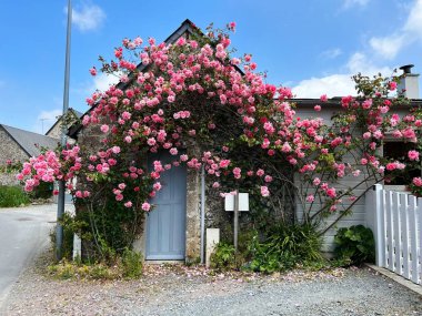 Brittany 'deki geleneksel taş ev çiçeklerle süslenmiş. Tipik güzel bir köy. Büyüleyici sahne klasik Fransız kırsal mimarisini yansıtıyor, doğal güzellik tarihsel tasarım elementini birleştiriyor.
