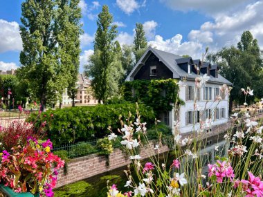 Alsace Şarap Yolu 'ndaki köy.. 