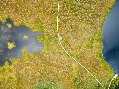 Drone 'un fotoğrafı, ormandaki bataklık manzarası. Yoğun ormanlarla çevrili bataklık manzarası. Bataklıkta yeşil bitki örtüsü ve bulanık su bantları var..