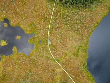 Drone 'un fotoğrafı, ormandaki bataklık manzarası. Yoğun ormanlarla çevrili bataklık manzarası. Bataklıkta yeşil bitki örtüsü ve bulanık su bantları var..