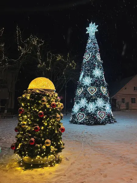 Küçük Litvanya kasabası Nemencine 'deki Noel ağacı. Karla kaplı kasaba meydanında parlak yıldız ve kalp tasarımlarıyla süslenmiş büyük bir Noel ağacı yer alıyor..