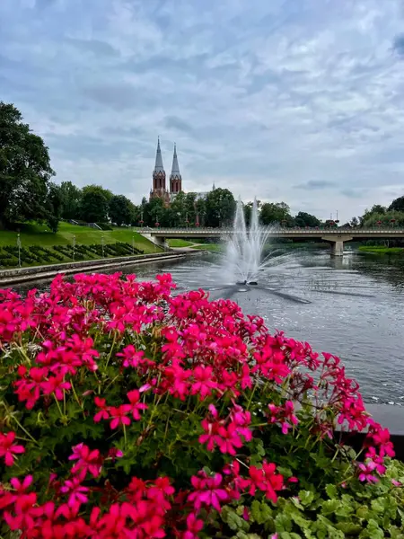 Litvanya 'nın herhangi bir yerindeki panoramik manzara. Canlı pembe çiçeklerle dolu bir çiçek tarhı ve ön planda yemyeşil yapraklar, akan bir nehre karşı kurulmuş. Nehirden zarif bir çeşme yükselir.