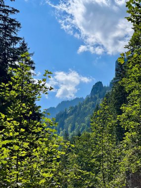 Chocholowska Vadisi 'nde yürüyüş, Polonya Tatra dağları 