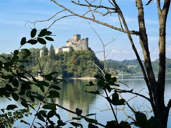 Polonya 'daki Niedzica Kalesi' nin panoramik manzarası. Kale yemyeşil bir yer ve sakin bir göl ile çevrili bir tepeye tünemişti. Ortaçağ yapısında taş duvarlar ve kuleler yer alıyor.