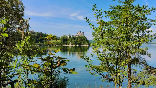 Polonya 'daki Niedzica Kalesi' nin havadan görünüşü. Kale yemyeşil bir yer ve sakin bir göl ile çevrili bir tepeye tünemişti. Ortaçağ yapısında taş duvarlar ve kuleler yer alıyor.