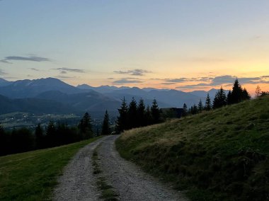 Tatra dağlarında gün batımı, Zakopane, Poland.Yuvarlanan tepeler dağların arka planına karşı kozalaklı ağaç siluetine yol açar. Çimenli arazide bir toprak yol kıvrılır..