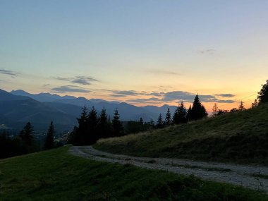 Tatra dağlarında gün batımı, Zakopane, Poland.Yuvarlanan tepeler dağların arka planına karşı kozalaklı ağaç siluetine yol açar. Çimenli arazide bir toprak yol kıvrılır..
