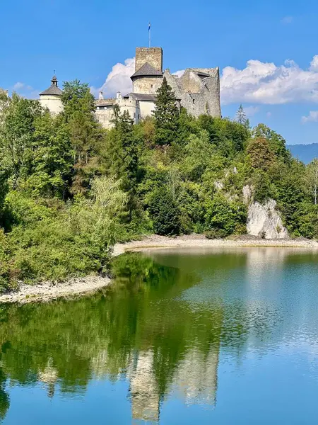 Polonya 'daki Niedzica Kalesi' nin panoramik manzarası. Kale yemyeşil bir yer ve sakin bir göl ile çevrili bir tepeye tünemişti. Ortaçağ yapısında taş duvarlar ve kuleler yer alıyor.