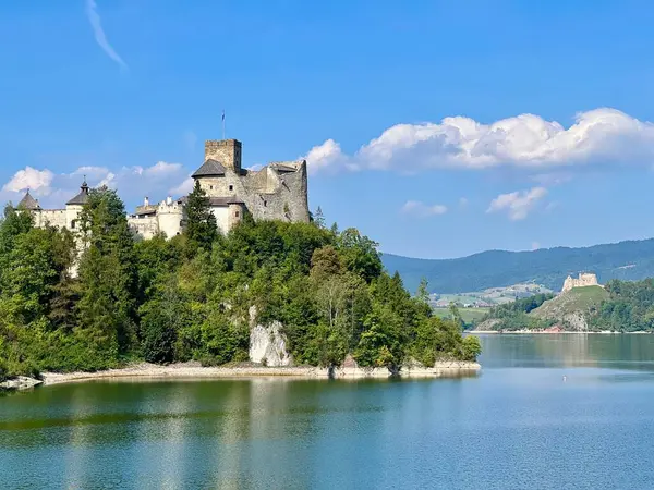 Polonya 'daki Niedzica Kalesi' nin panoramik manzarası. Kale yemyeşil bir yer ve sakin bir göl ile çevrili bir tepeye tünemişti. Ortaçağ yapısında taş duvarlar ve kuleler yer alıyor.