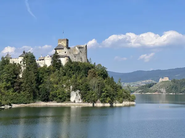 Polonya 'daki Niedzica Kalesi' nin panoramik manzarası. Kale yemyeşil bir yer ve sakin bir göl ile çevrili bir tepeye tünemişti. Ortaçağ yapısında taş duvarlar ve kuleler yer alıyor.
