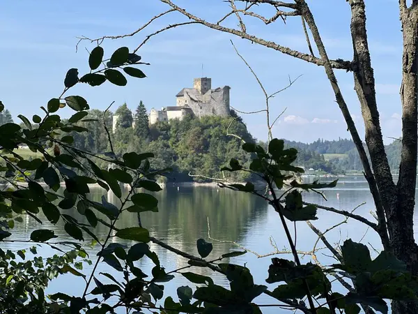 Polonya 'daki Niedzica Kalesi' nin panoramik manzarası. Kale yemyeşil bir yer ve sakin bir göl ile çevrili bir tepeye tünemişti. Ortaçağ yapısında taş duvarlar ve kuleler yer alıyor.