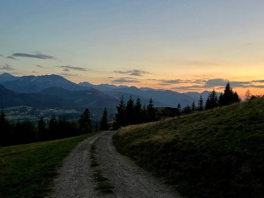 Tatra dağlarında gün batımı, Zakopane, Polonya. Yuvarlanan tepeler, dağların arka planına karşı kozalaklı ağaçların siluetine yol açar. Çimenli arazide bir toprak yol kıvrılır..