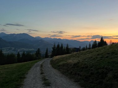 Tatra dağlarında gün batımı, Zakopane, Polonya. Yuvarlanan tepeler, dağların arka planına karşı kozalaklı ağaçların siluetine yol açar. Çimenli arazide bir toprak yol kıvrılır..