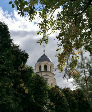Leydimizin Kilisesi, Vilnius, Litvanya. Çan kulesi koyu, kubbeli çatısı haçla kaplı, kısmen yemyeşil ağaçlar ve yapraklarla kaplanmış.. 