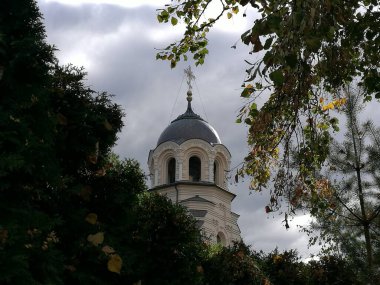 Leydimizin Kilisesi, Vilnius, Litvanya. Çan kulesi koyu, kubbeli çatısı haçla kaplı, kısmen yemyeşil ağaçlar ve yapraklarla kaplanmış.. 
