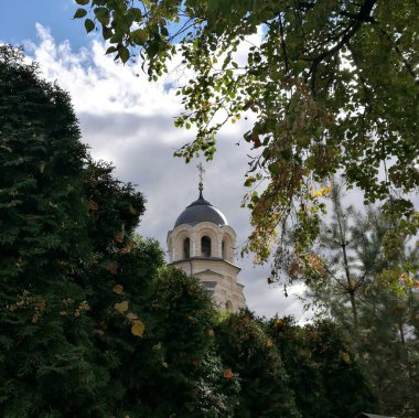 Leydimizin Kilisesi, Vilnius, Litvanya. Çan kulesi koyu, kubbeli çatısı haçla kaplı, kısmen yemyeşil ağaçlar ve yapraklarla kaplanmış.. 