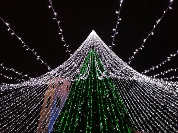Yeşil koni şekilli ve Litvanya 'nın Vilnius kentindeki bir gölgeliğe benzeyen beyaz ışık dizileriyle aydınlatılmış Noel ağacı kurulumu 