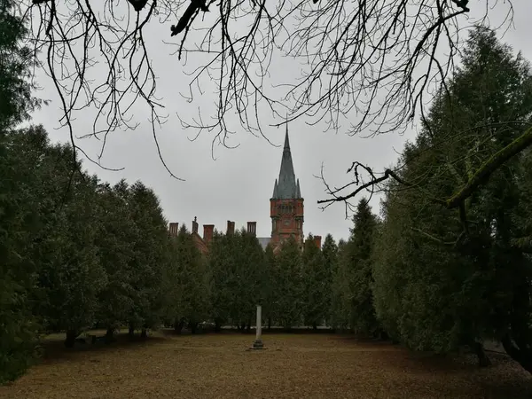 Lentvaris Malikânesi Parkı, Litvanya. Uzun yeşil kozalaklı ağaçlar, sivri uçlu kulesi olan tarihi bir binaya giden bir yola sınır çiziyor. Çıplak dallar yukarıdaki sahneyi çerçeveler.. 