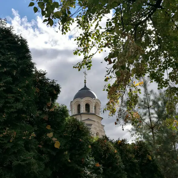 Leydimizin Kilisesi, Vilnius, Litvanya. Çan kulesi koyu, kubbeli çatısı haçla kaplı, kısmen yemyeşil ağaçlar ve yapraklarla kaplanmış.. 