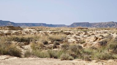 Bardenas Reales 'in Navarre, İspanya' daki çorak manzarası. Arazide engebeli, aşınmış oluşumlar ve yarı çöl koşullarına uyum sağlayan seyrek bitki örtüsü yer alıyor. Toprak kuru ve çatlamış. 