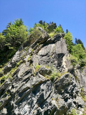 Tırtıklı taş oluşumları dikey olarak yükselir, kısmen yemyeşil ile kaplıdır. Küçük çalılar ve kozalaklı ağaçlar kayalık yüzeylere tutunarak engebeli araziyi vurguluyor.. 