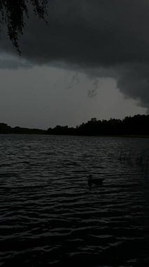 Karanlık, fırtınalı bulutlar dalgalı suyla bir göl üzerinde beliriyor. Dalgalanan yüzeyde siluetli bir ördek yüzüyor ve sahnenin dramatik atmosferine katkı sağlıyor. Yoğun ağaç çizgileri ufuk çizgisini çizer