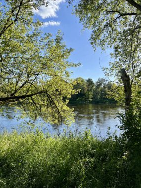 Berrak mavi gökyüzü ile sakin bir nehir manzarası yemyeşil ağaçlar ve yapraklar tarafından çerçevelenir. Nehir arka planda gökyüzünü ve yeşilliği yansıtarak yavaşça akar. Nehir kıyısı boyunca uzanan uzun otlar, manzaraya doku katar.. 