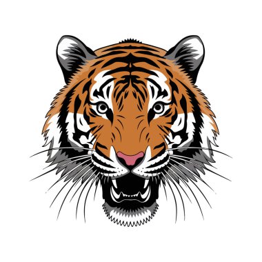 Beyaz işaretli bir kaplan başı siluet vektör biçimi oluştur