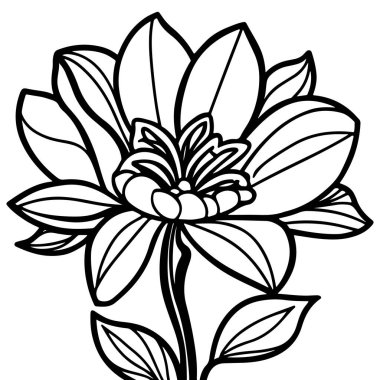 Çocuklar için boyama sayfası, çizgi film tarzı, siyah beyaz, boho çiçeği, basit illüstrasyon tarzı