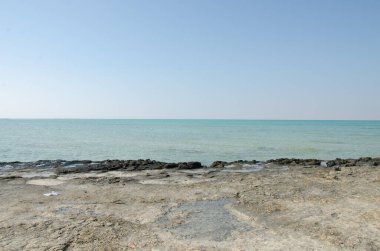 Rocky beach of As Salwa, Qatar