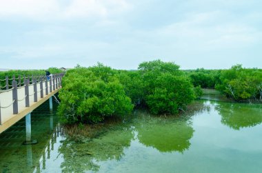 Mesmerizing beauty of Purple Island at Al Khor, Qatar
