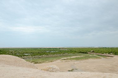 Mesmerizing beauty of Purple Island at Al Khor, Qatar