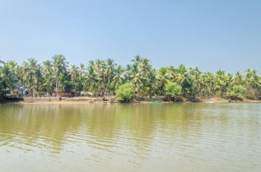 Backwaters of Kemmanu delta