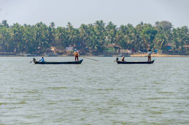 Backwaters of Kemmanu delta