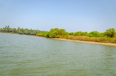 Backwaters of Kemmanu delta