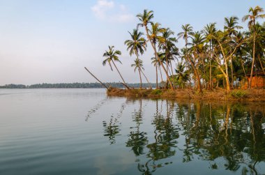 Backwaters of Kemmanu delta