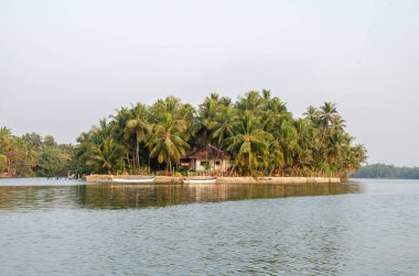 Backwaters of Kemmanu delta
