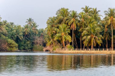 Backwaters of Kemmanu delta