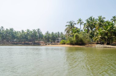 Backwaters of Kemmanu delta