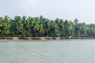 Backwaters of Kemmanu delta