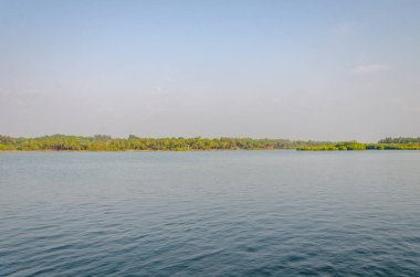 Backwaters of Kemmanu delta