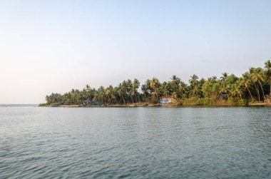 Backwaters of Kemmanu delta