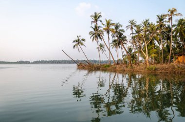 Backwaters of Kemmanu delta