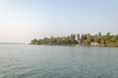 Backwaters of Kemmanu delta
