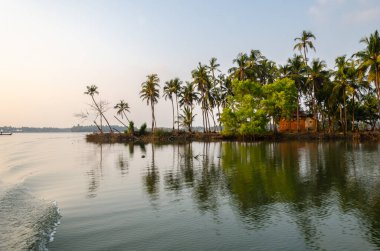 Backwaters of Kemmanu delta