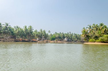 Backwaters of Kemmanu delta