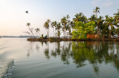 Backwaters of Kemmanu delta