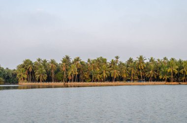 Backwaters of Kemmanu delta