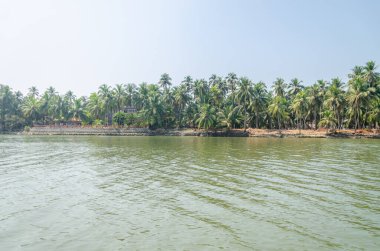 Backwaters of Kemmanu delta
